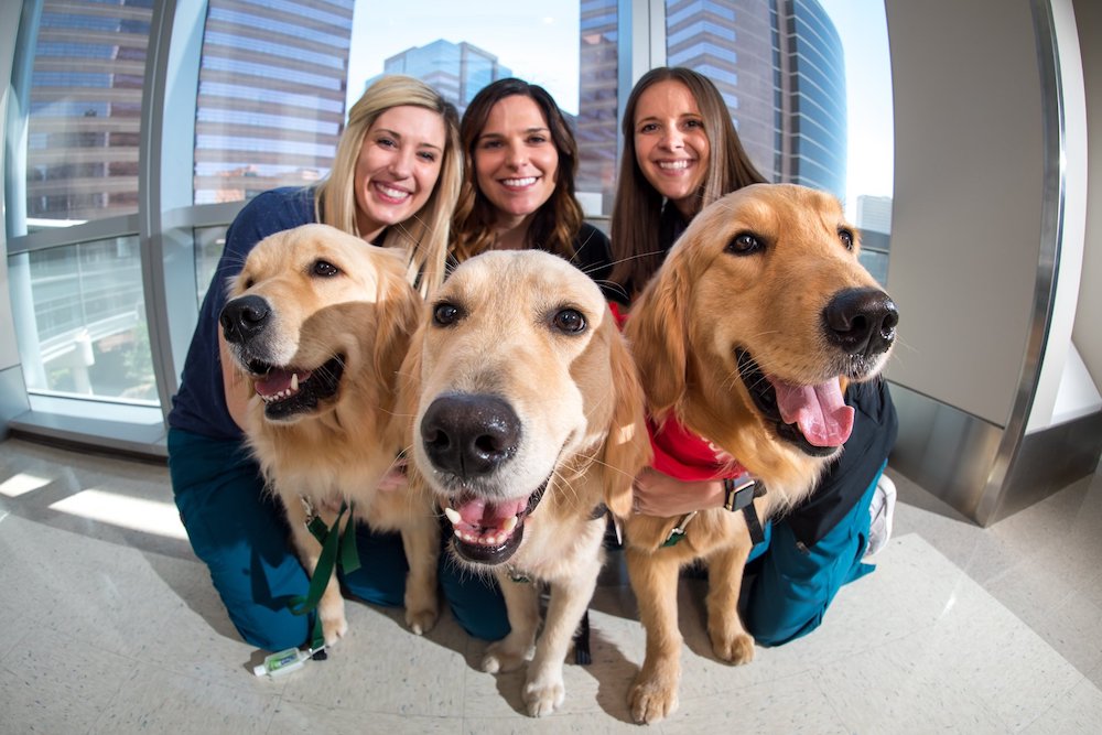 Animal-Assisted Therapy | Texas Children's Hospital
