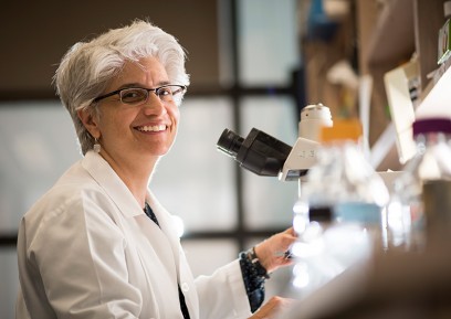 Dr. Alison Bertuch in her lab