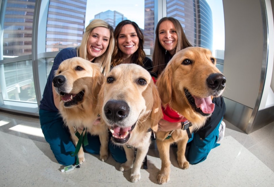 Celebrating our therapy animals at Texas Children's | Texas Children's  Hospital
