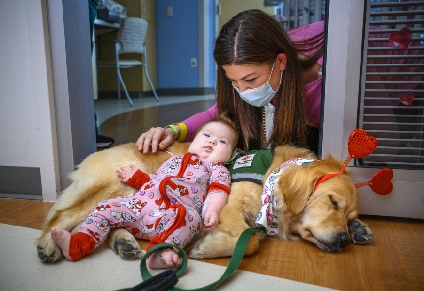 Texas Children’s Hospital celebrated Valentine’s Day early today with a special dog parad