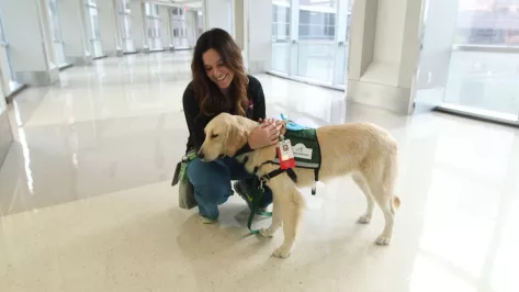 Texas Children’s Hospital’s First Therapy Dog and Her Child Life Specialist to Retire   After Nearly 2,000 Patient Visits and More Than 12,000 Bedside Interventions