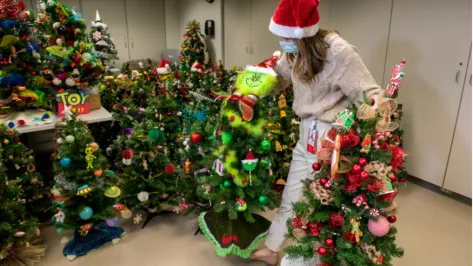 Christmas trees display