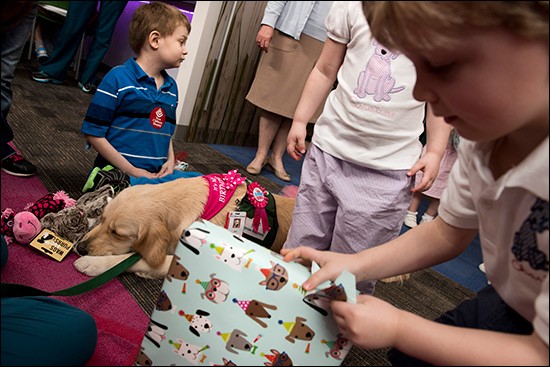 New facility dog program brings comfort to patients | Texas Children's