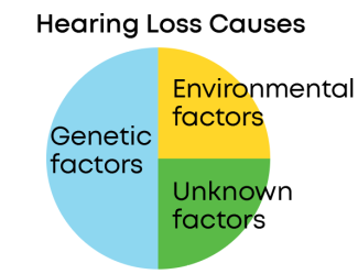 Types of Hearing Loss | Texas Children's