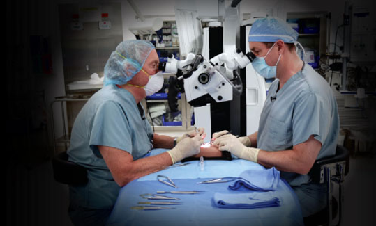 Microsurgery on the RediStik Microsurgery Trainer