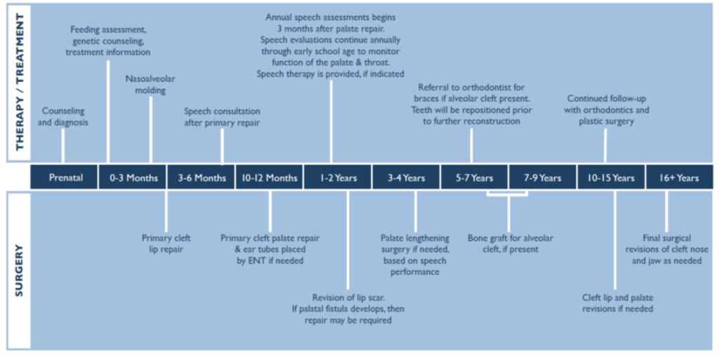 Cleft Surgery Timeline