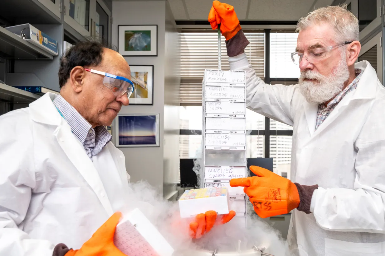 Two scientists in lab coats and orange gloves handle labeled sample boxes, surrounded by vapor, in a laboratory setting. One holds a rack of boxes while the other prepares to place or retrieve a box.