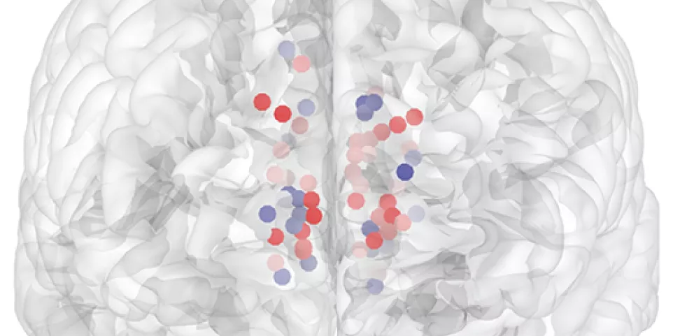 A novel and unique neural signature for depression revealed | Texas ...