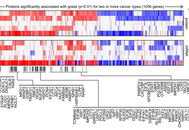 Proteomics analysis identifies potential drug targets for aggressive ...