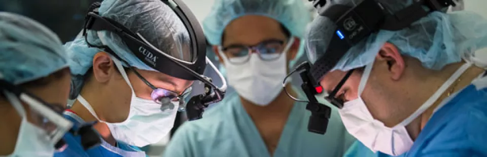 <p>Head and Neck Tumor Program</p>