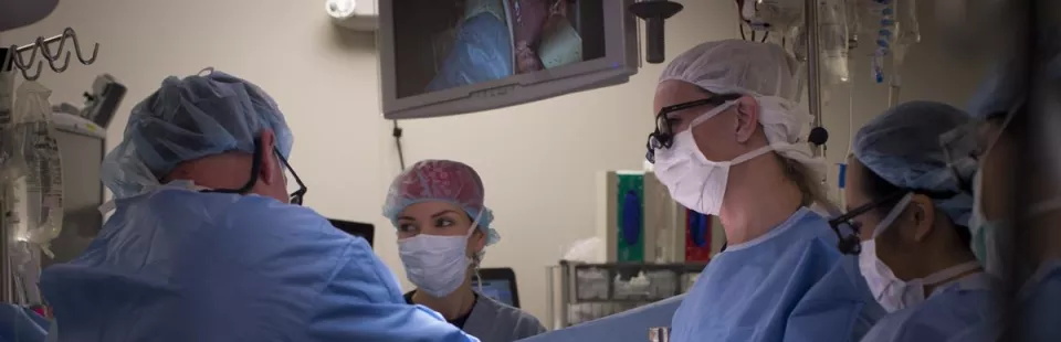 <p>Liver Transplant Program</p>