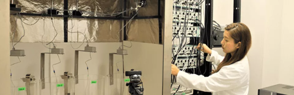<p>In vivo Neurophysiology Core</p>