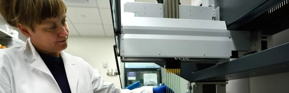<p>RNA In Situ Hybridization Core</p>