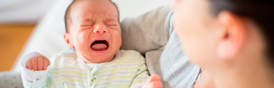 <p>Crying and colic</p>