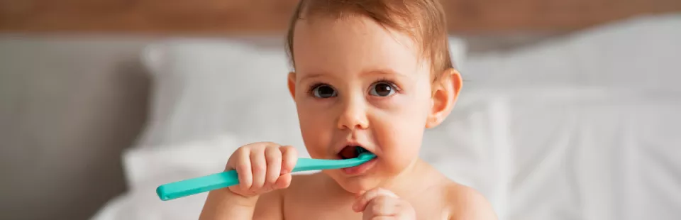 <p>Illness prevention and vaccines</p>
