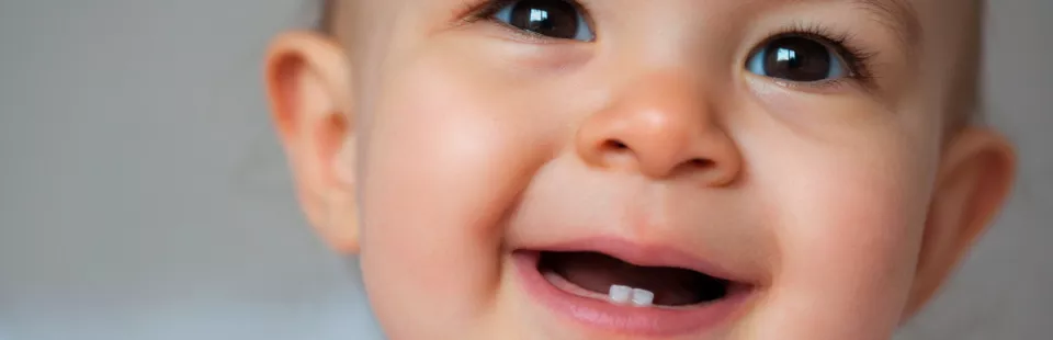 <p>Teeth and gums</p><p><br>&nbsp;</p>