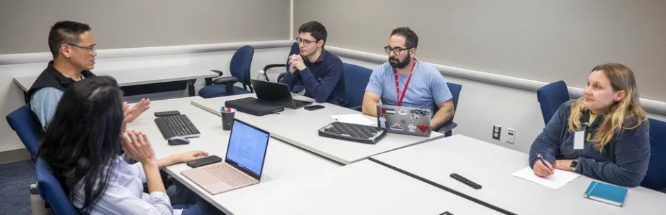 <p>Peer Mentoring Programs in Research</p>