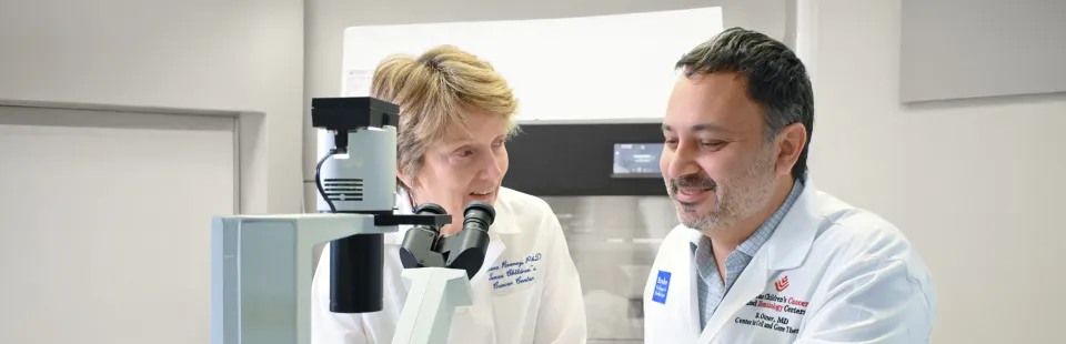 <p>EBV Specific T Lymphocytes for Treatment of EBV-Positive Lymphoma (CILESTE)</p>