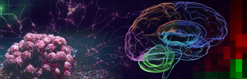 <p>Translating Discoveries into Therapies</p>