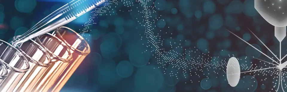 <p>Flow Cytometry Core Laboratory</p>