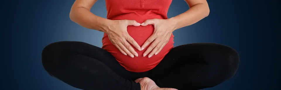 <p>Texas Children’s Fetal Center®</p>