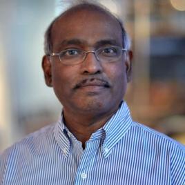 Pulivarthi H. Rao, PhD