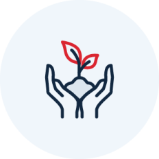 open hands holding small growing plant graphic