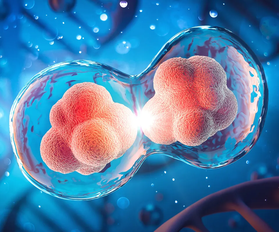 Tumorigenesis and Genomic Stability | Texas Children's